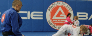 MMA gyms GB Northridge