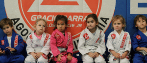 Jiu jitsu gyms GB Northridge